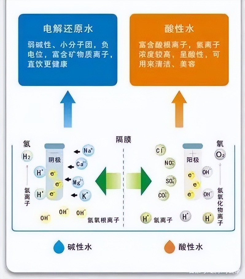 电解水机性价比,电解水机是坑吗