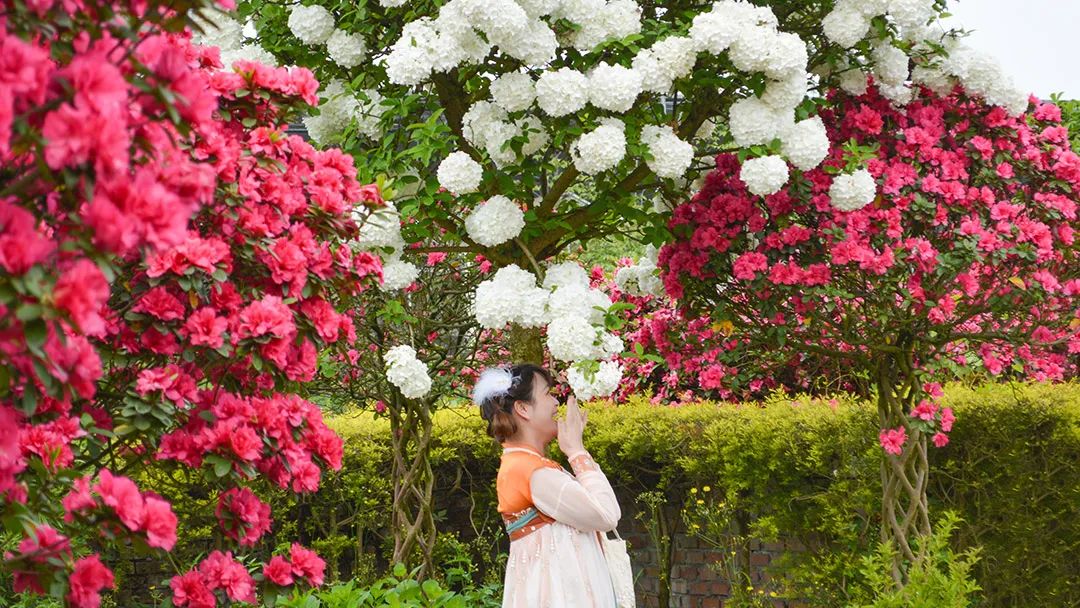 花卡特惠,新春钜惠不容错过