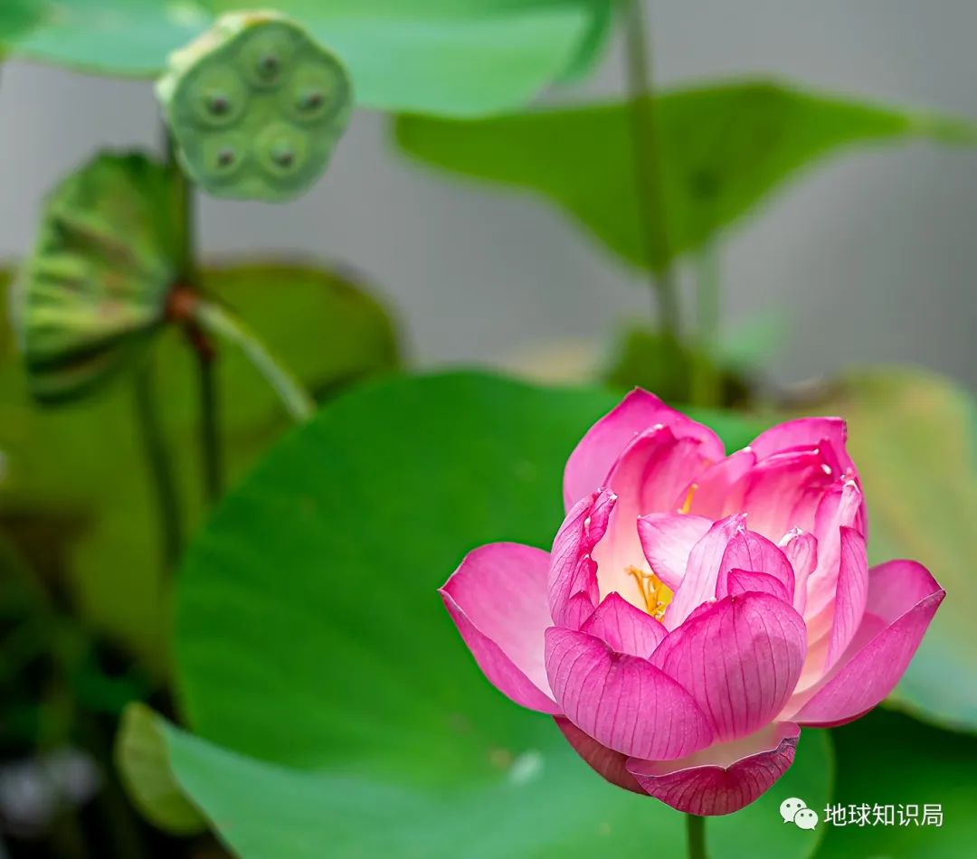 男子精子断崖式下降,男精子数量