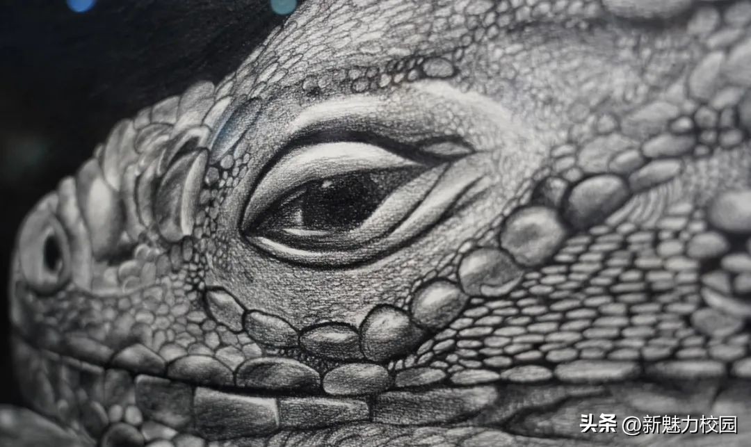 南京艺术学院毕业设计2017,南京视觉艺术职业学院毕业展