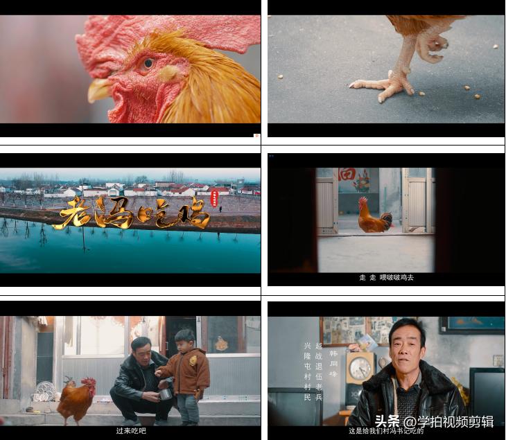 乡村振兴促进法宣传片,乡村振兴宣传片短片深圳拍摄团队