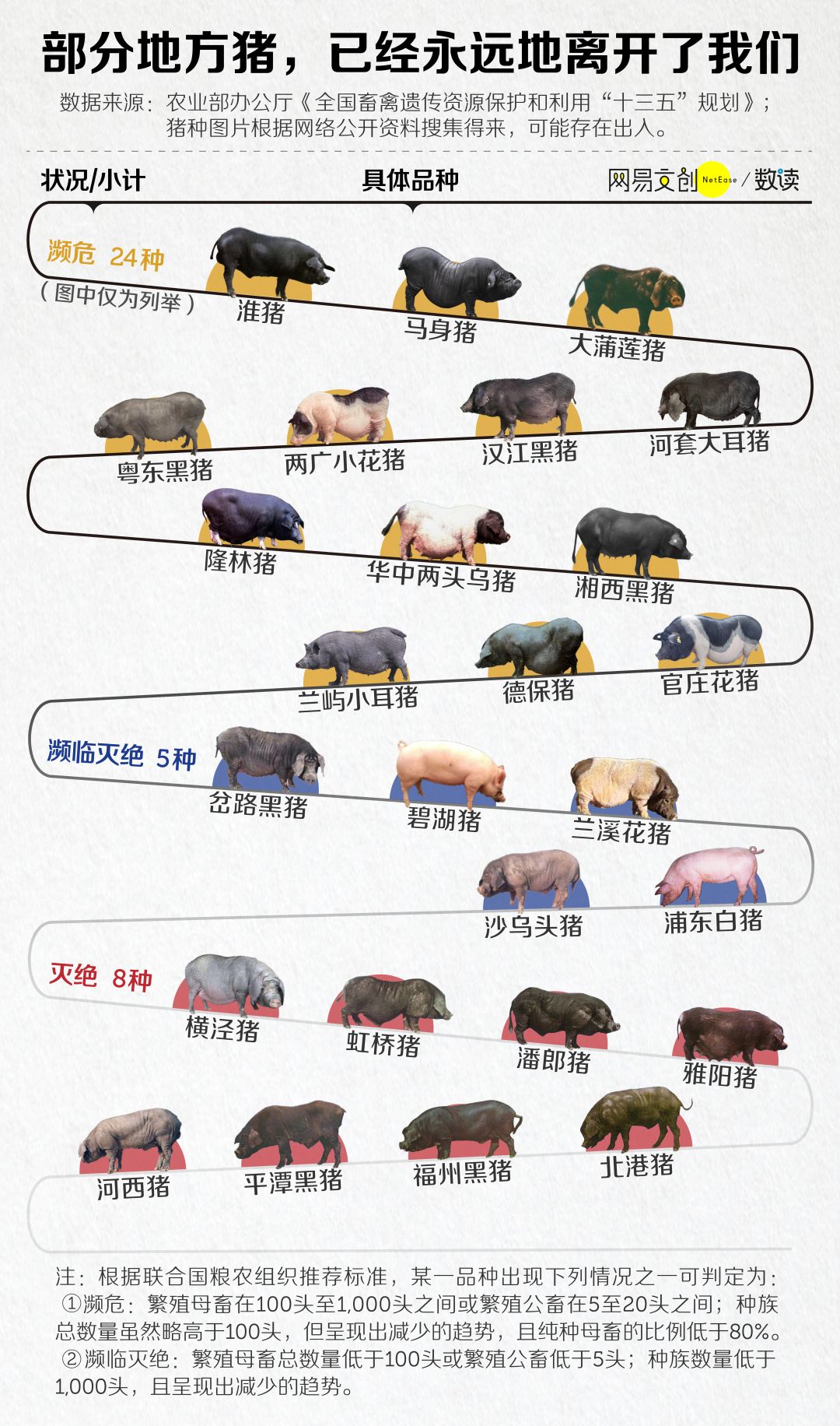 用白酒保存的猪肉有酒味不好吃,猪肉老是炖不烂发柴什么原因