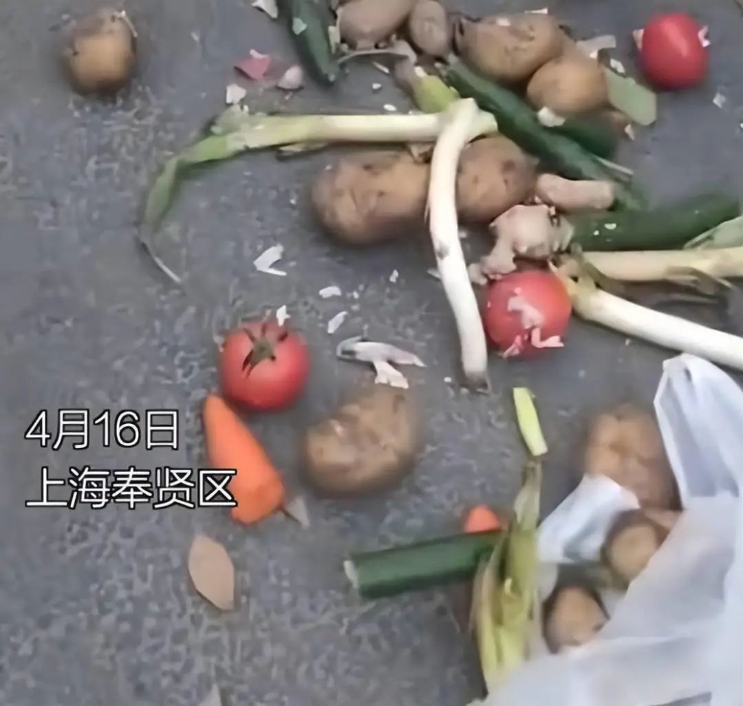 上海抗疫想胜利，必须干掉“沪弄鬼”