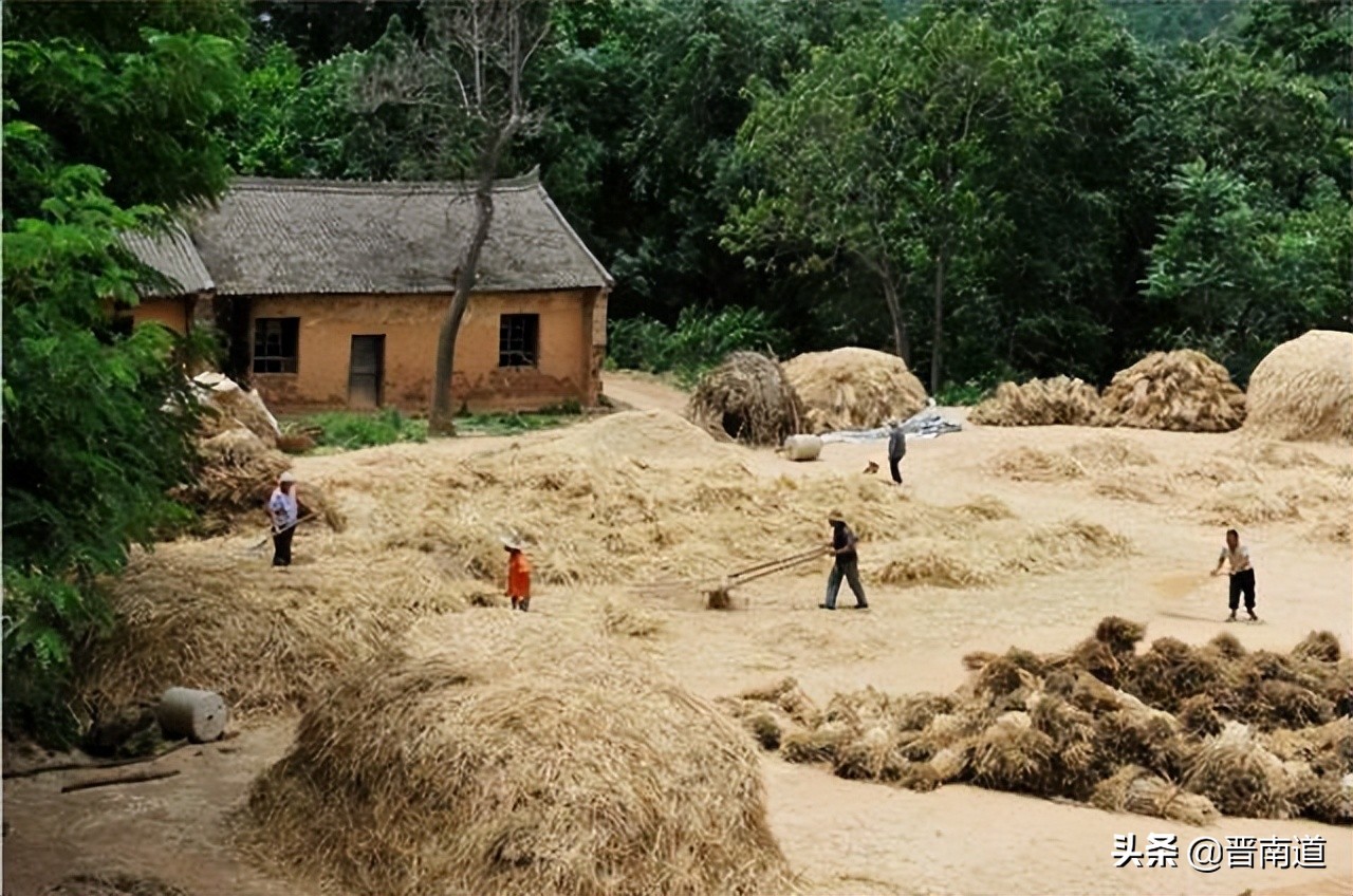 记忆那年秋创作的原声完整版,那年麦收歌曲视频