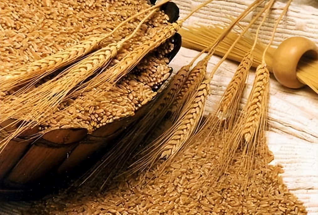 经常放屁是肠道出问题了吗,经常放屁是肛肠有毛病吗