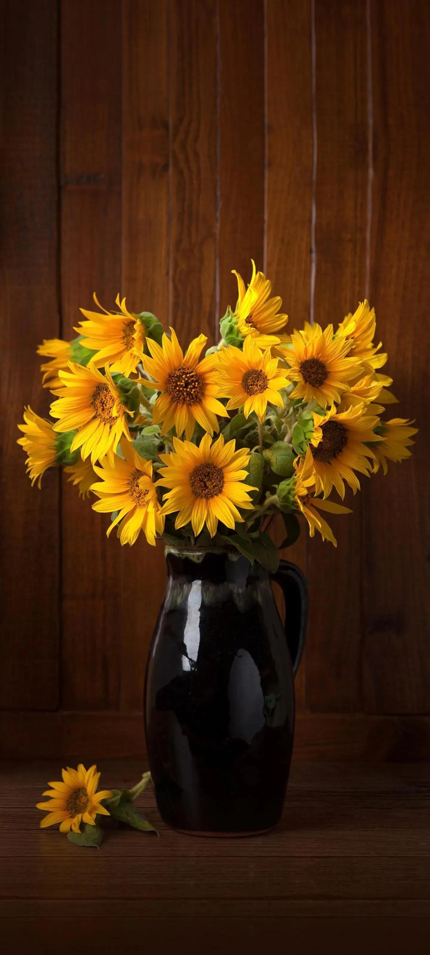 高清壁纸全面屏手机,围棋壁纸高清全面屏