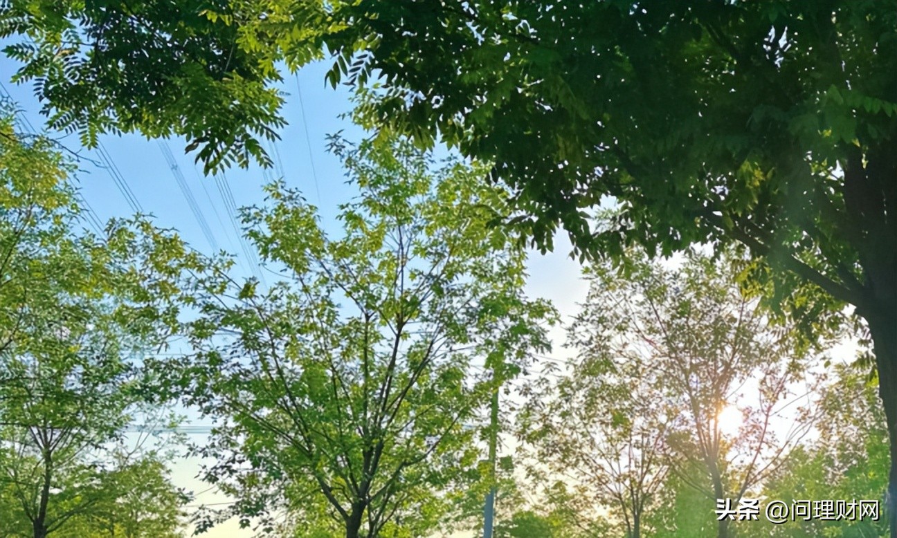 连续7万股市跌停,股票连续七个跌停跌了60%