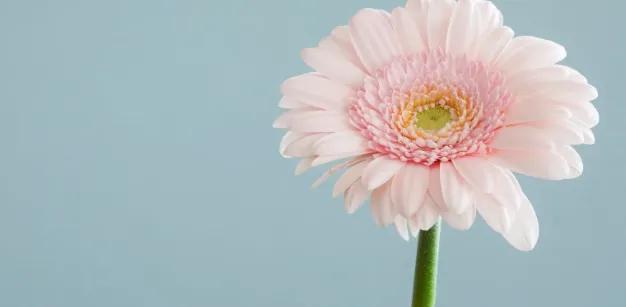 表示努力拼搏很霸气的句子,大格局女人努力挣钱的句子霸气