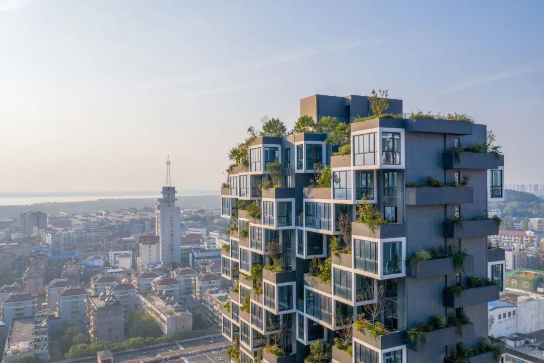 中国第一个垂直森林住宅项目,黄冈垂直森林住宅