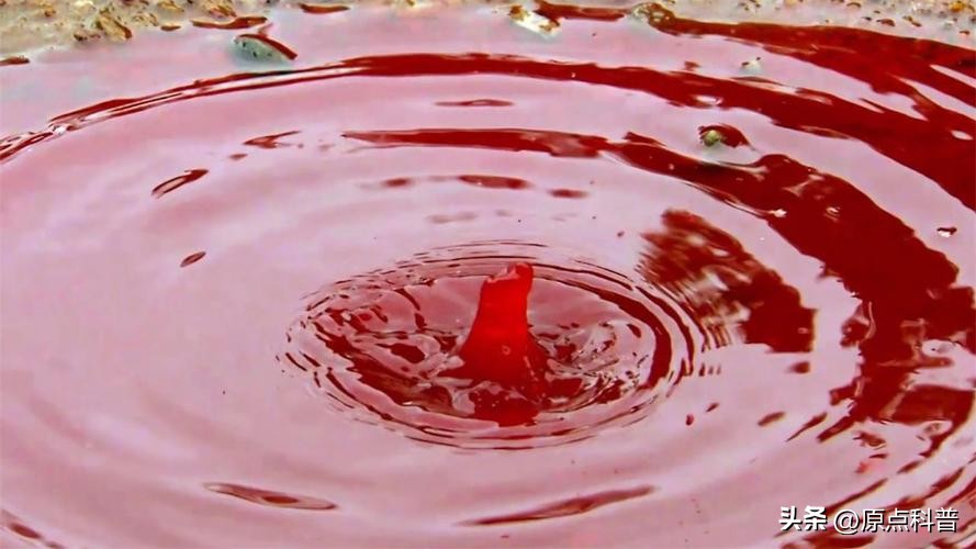 世界上七大离奇事件视频,世界各地发生的奇异现象