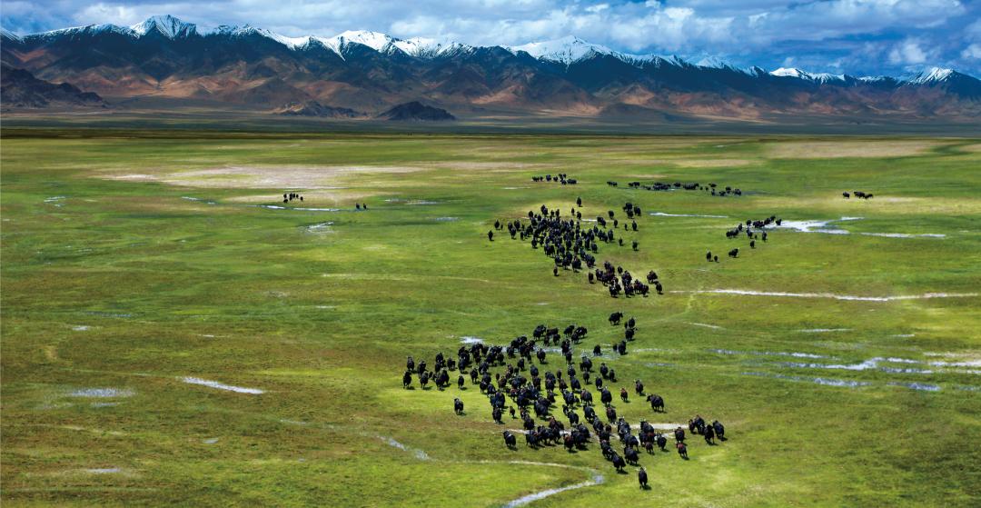 暑假游玩5天推荐的好地方,暑假值得去的旅游地点