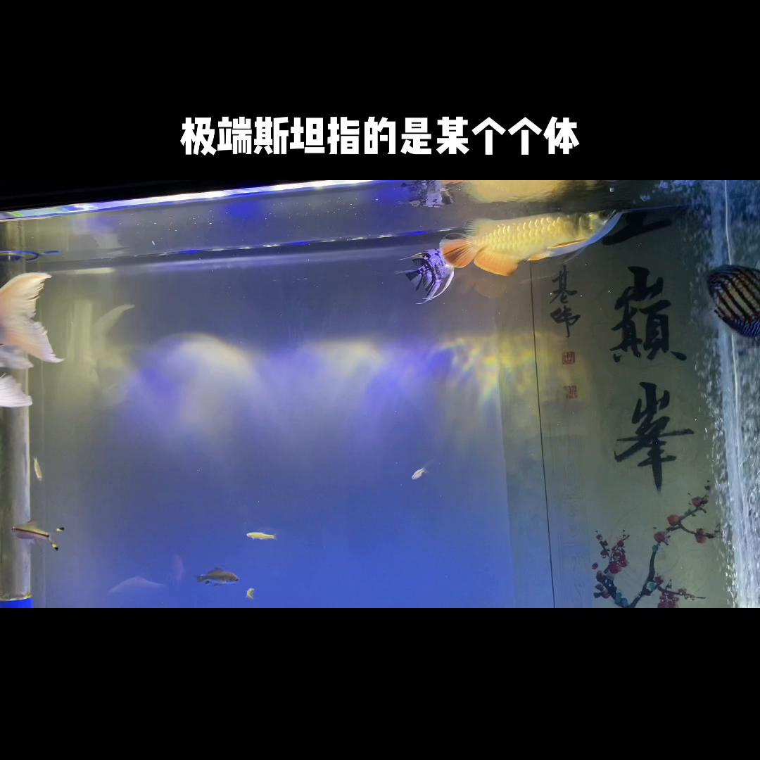 黑天鹅歌曲,黑天鹅事件最新消息