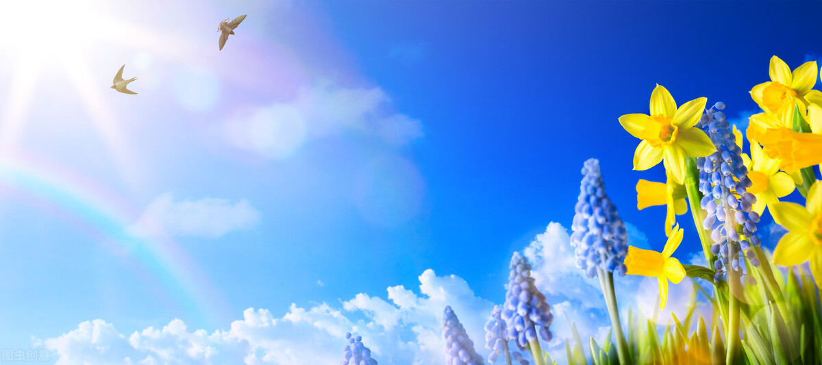 春天的遐想泰戈尔,春天的遐想纯音乐