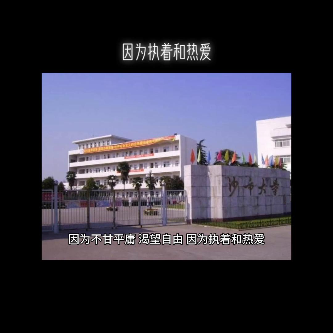 创业之路记录视频,创业之路励志视频