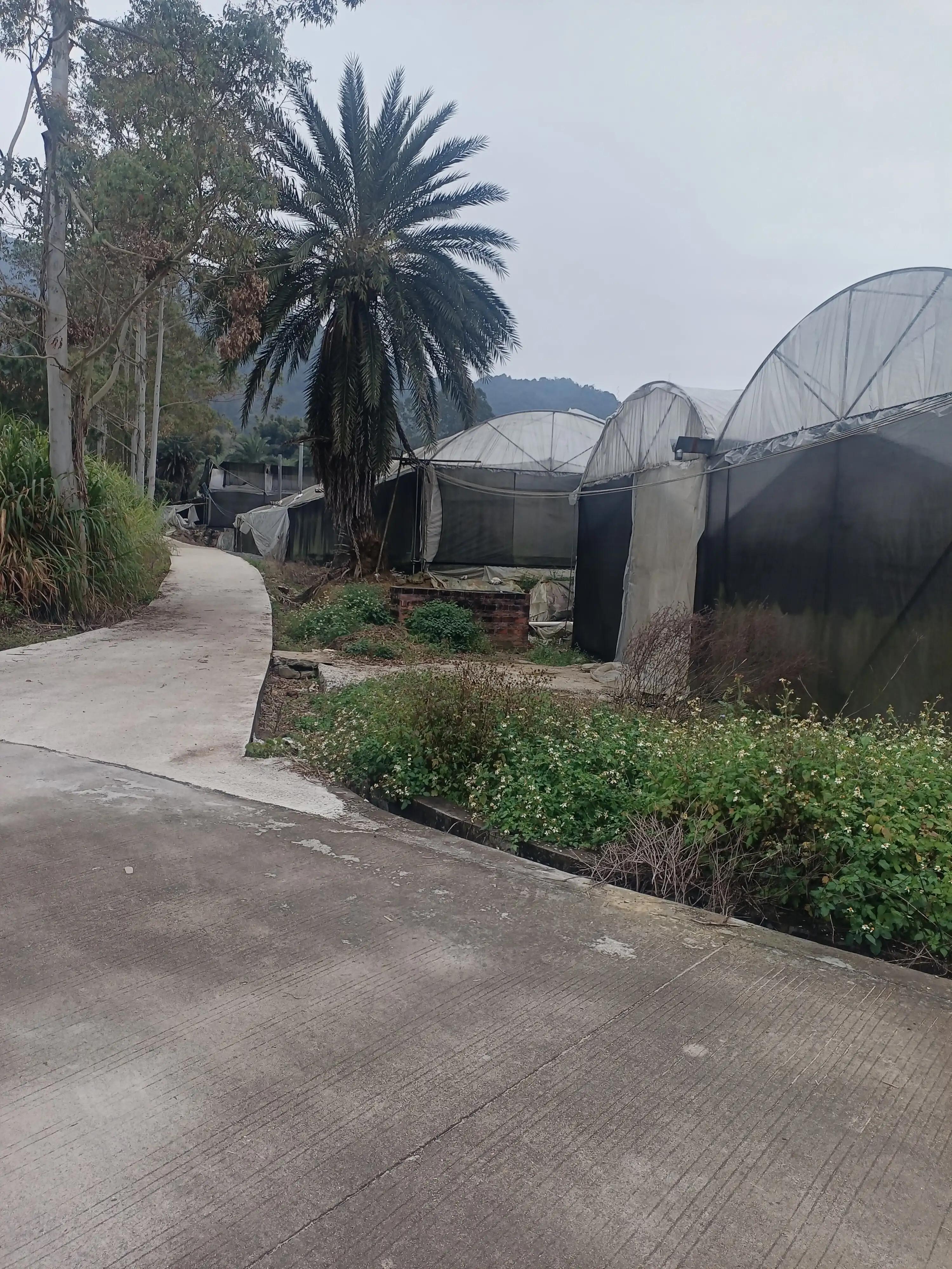 从化小杉村怎么去,从化小杉村自驾游攻略