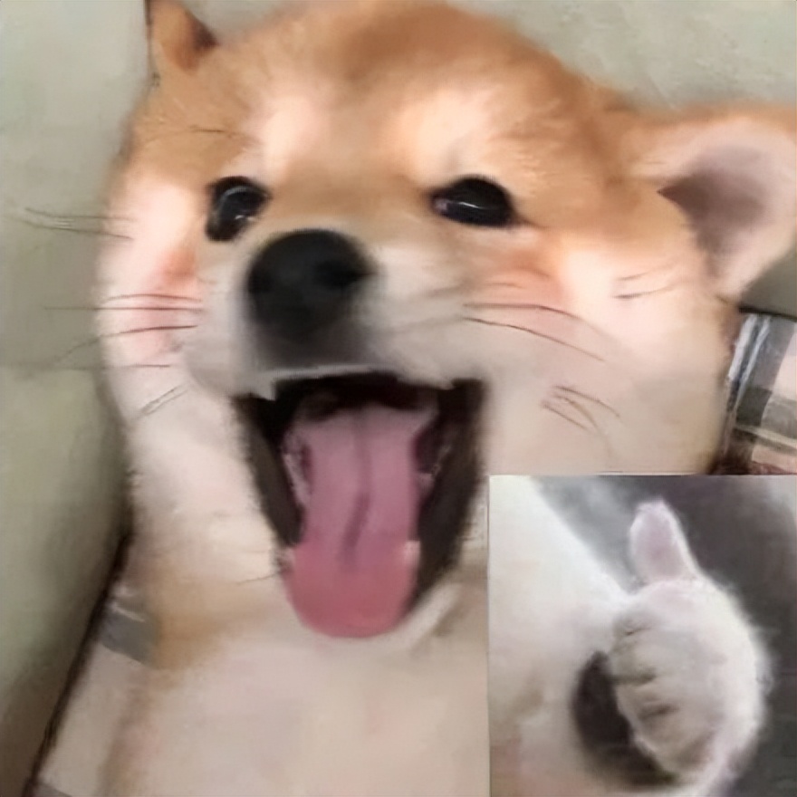 逛完小米直播间，我还以为我穿越了