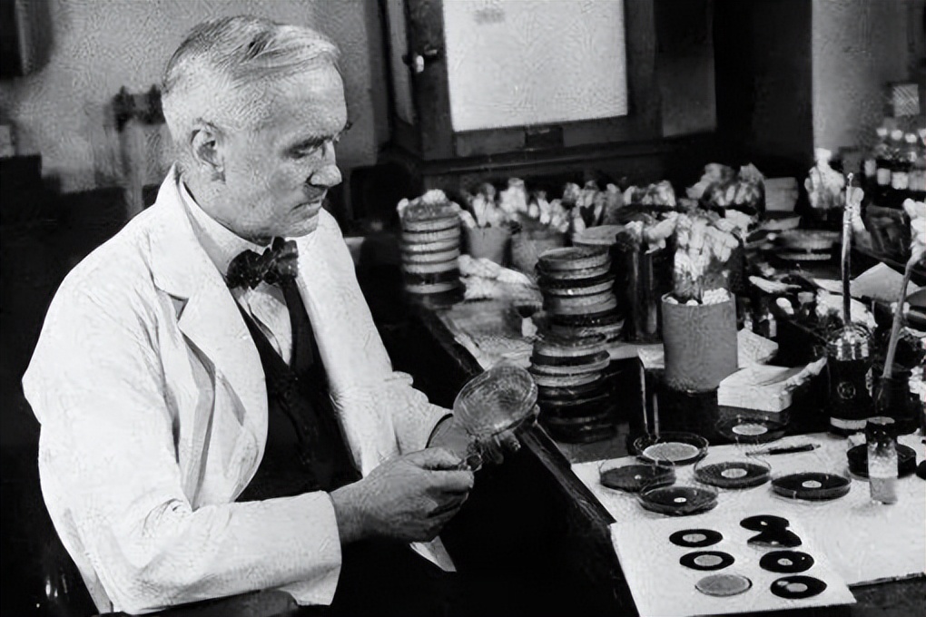 青霉素是最伟大的发明吗,为什么说青霉素是人类伟大发明