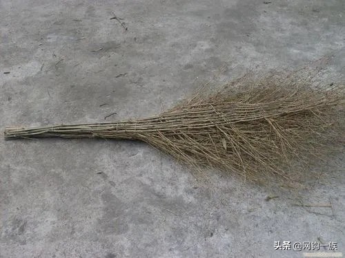 大连金州八十年代儿时回忆,大连80后小时候照片