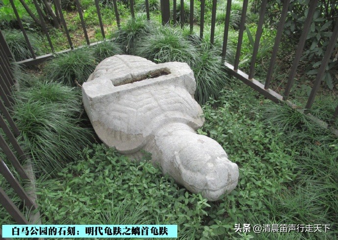 白马公园白马石刻朝代,公园石刻精品欣赏