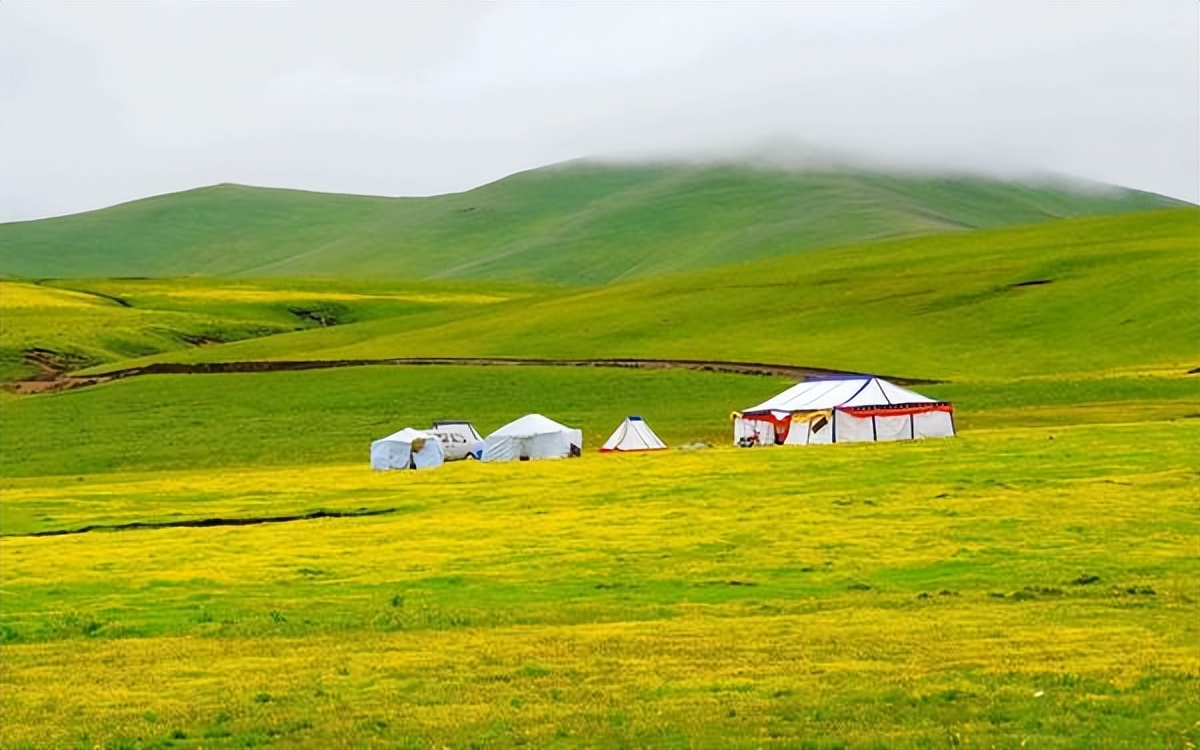 健康养生爆款创意文案阅读,热门文案吸引人的句子带问句