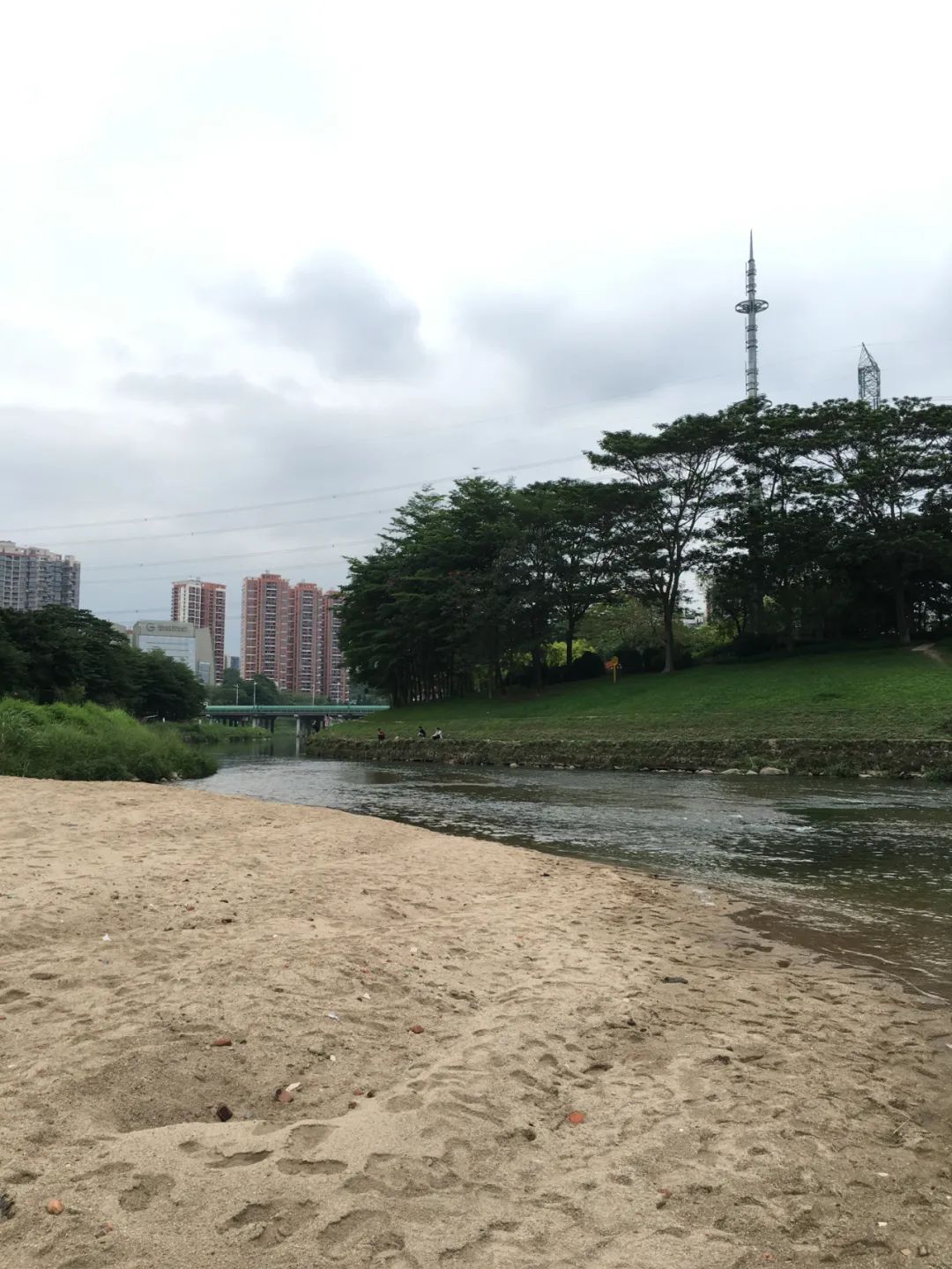 《旭光骑行深圳》第22站——龙华区观湖街道