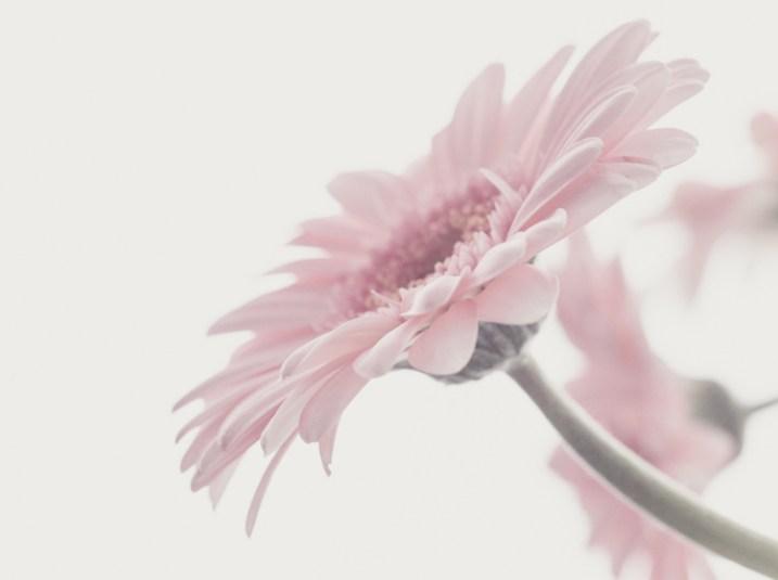 摄影构图中的对比与差异展示,如何看懂摄影构图中的均衡