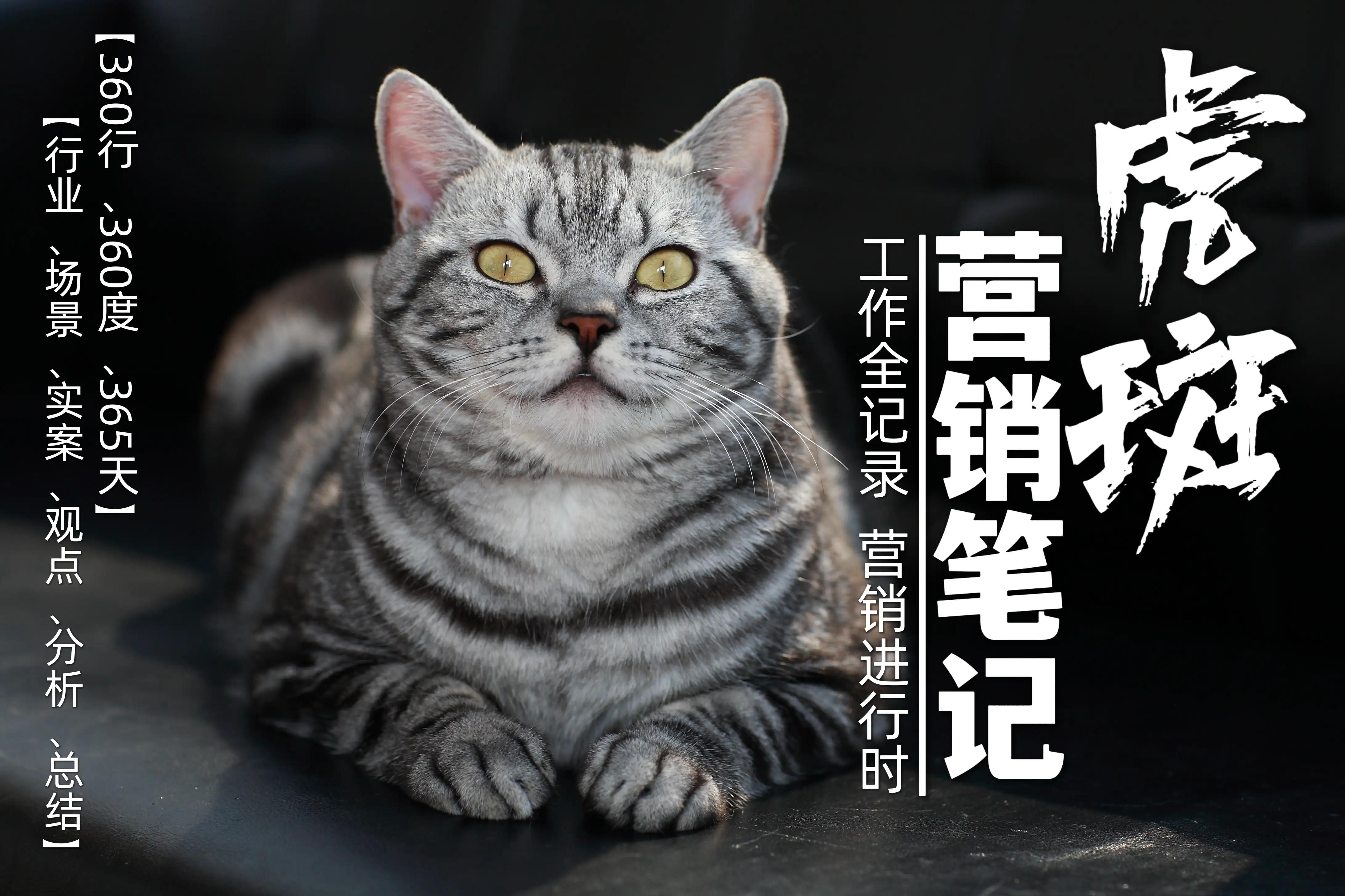 《虎斑营销笔记》第8页“招商说明会重点说明什么”