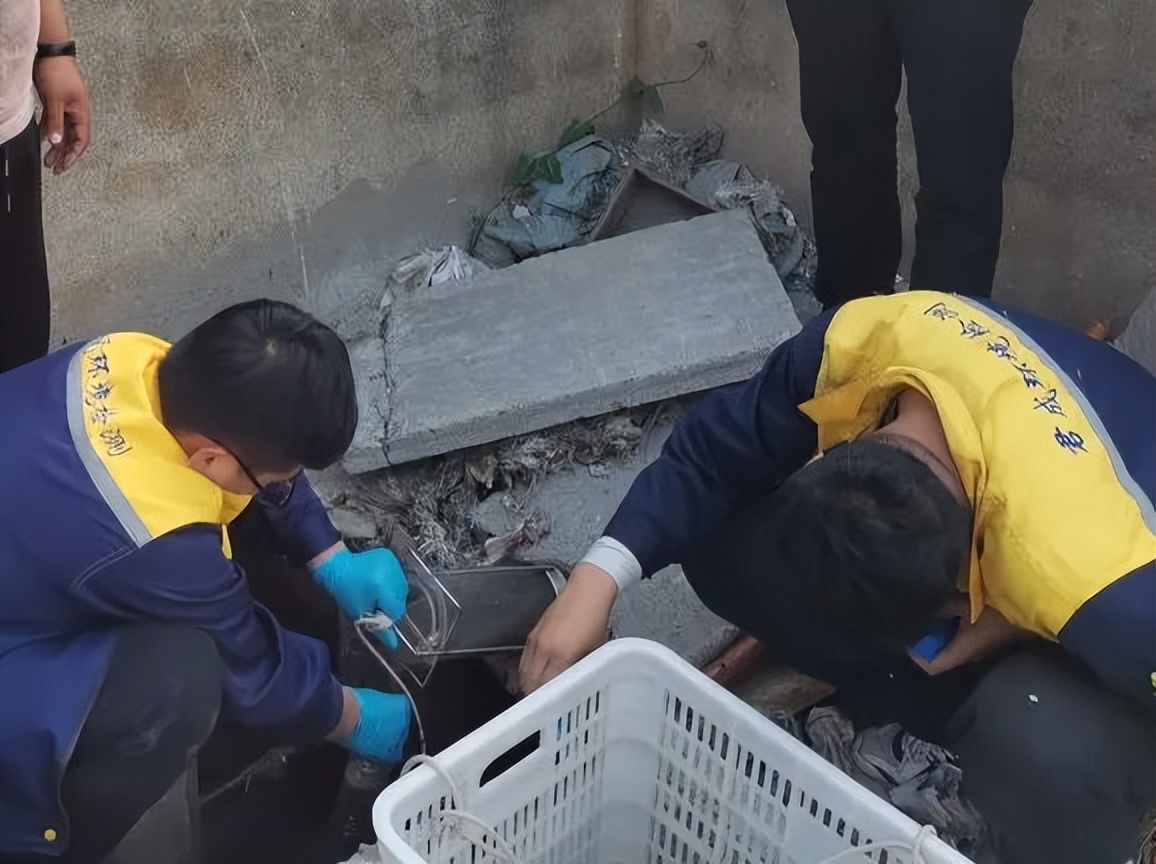 2022年临沂市拟任干部公示,临沂市委组织部干部任前公示