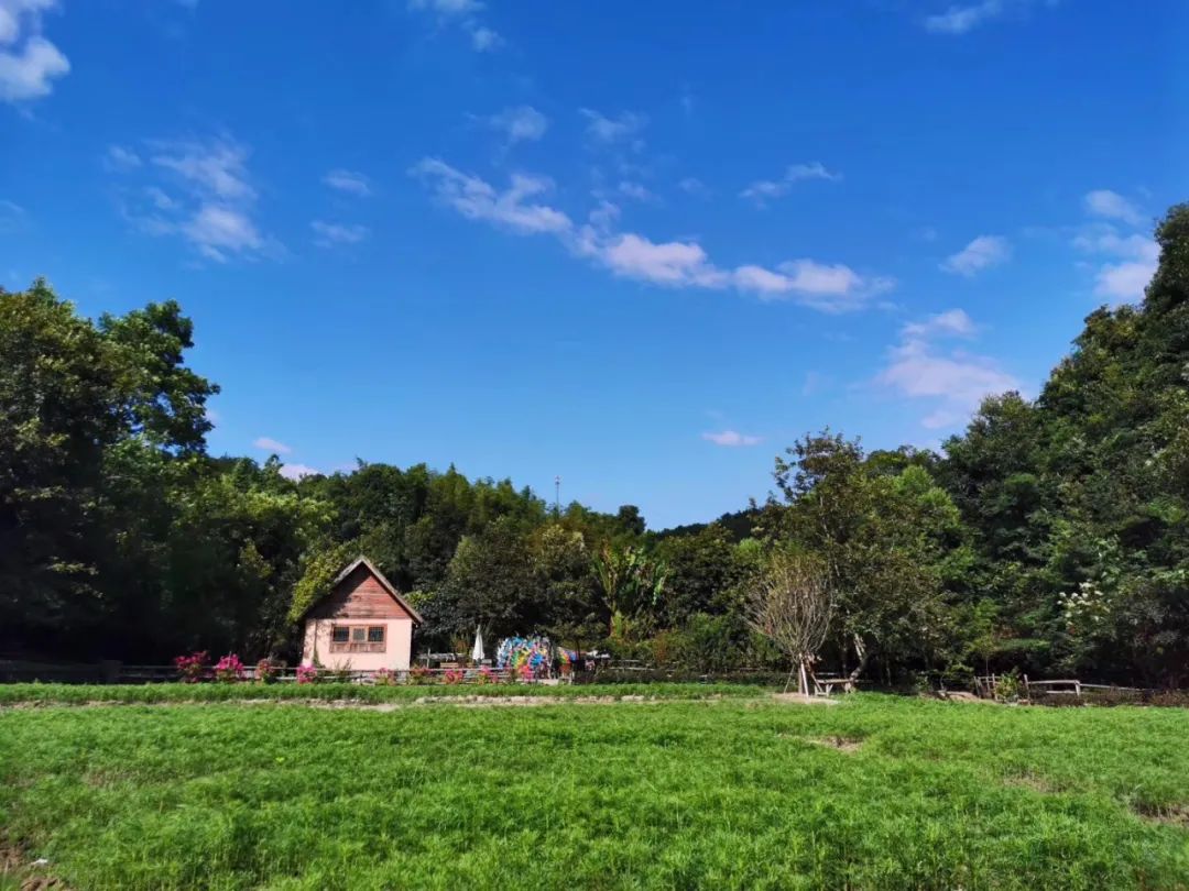 乡村规划休闲农业,鼓励利用四荒地发展休闲农业