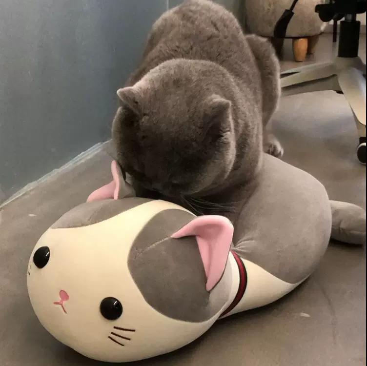 宠物绝育长效针剂有哪些,宠物绝育药管用吗