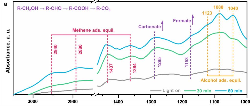 低碳MgO-C耐火材料基质显微结构的演化及其对材料力学性能的影响
