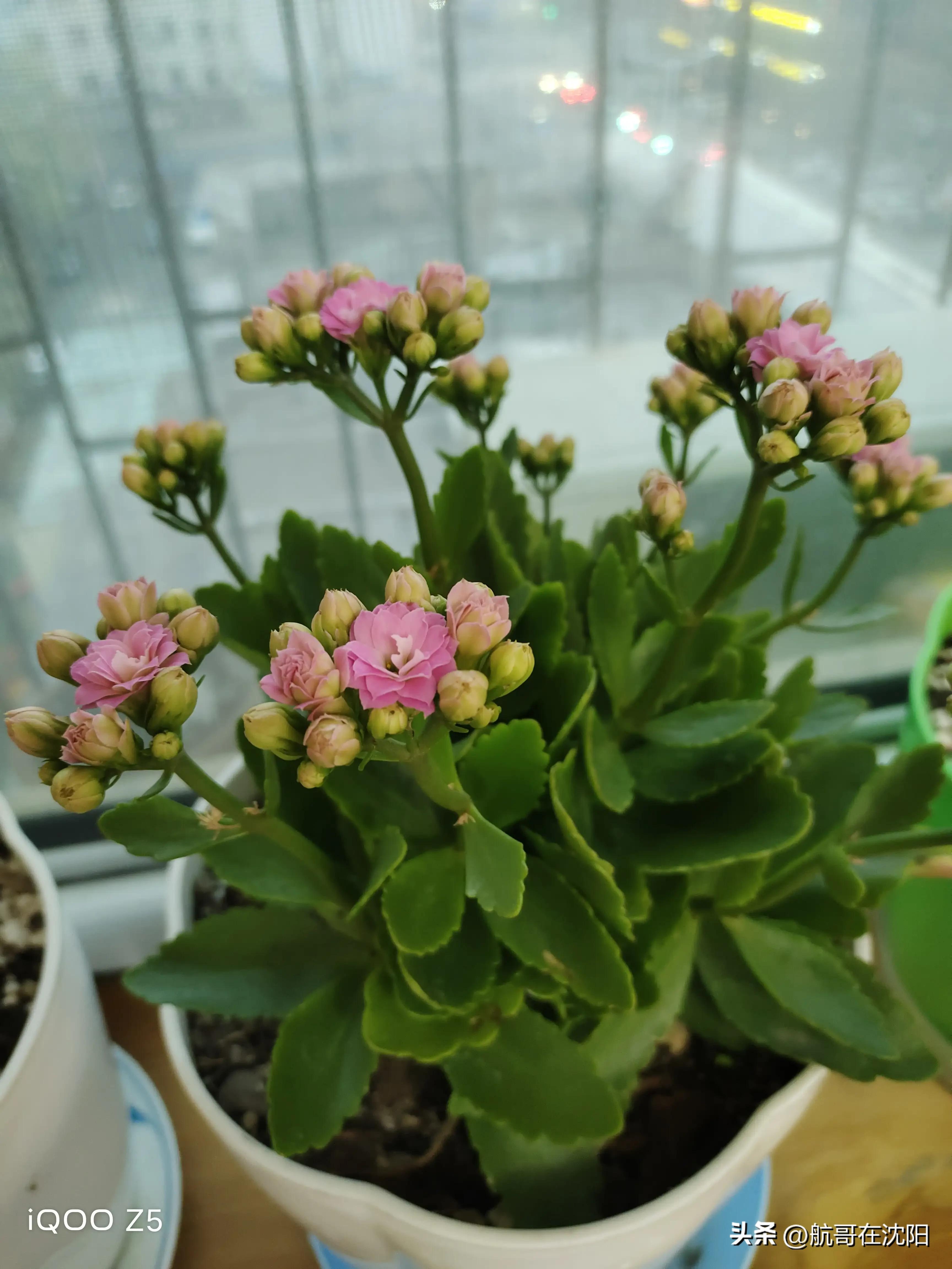 全款买房买车入住小区，邻居一番话令我顿悟，做人不低调真没朋友