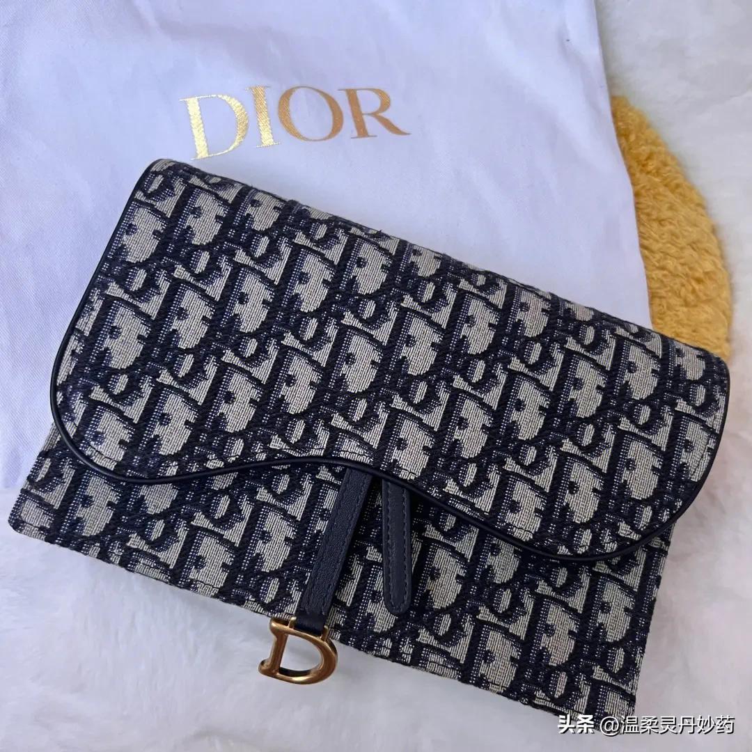 法国迪奥的标志图,法国迪奥戴妃包价格