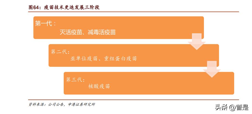 生物股份年报详解,生物股份2024年分析