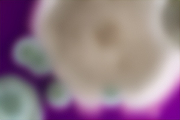 《红茶测评室》第五期－起底MODE，*牌套**？抄袭？真相到底是什么？