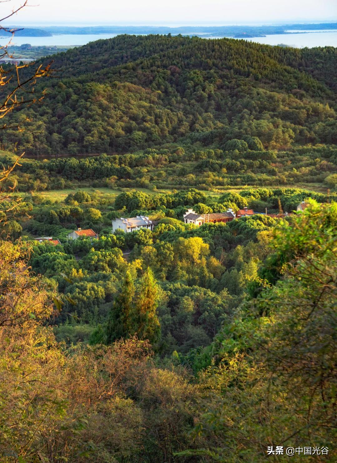 五一，光谷这些地方可以露营，还可以赏花、登山、看展……