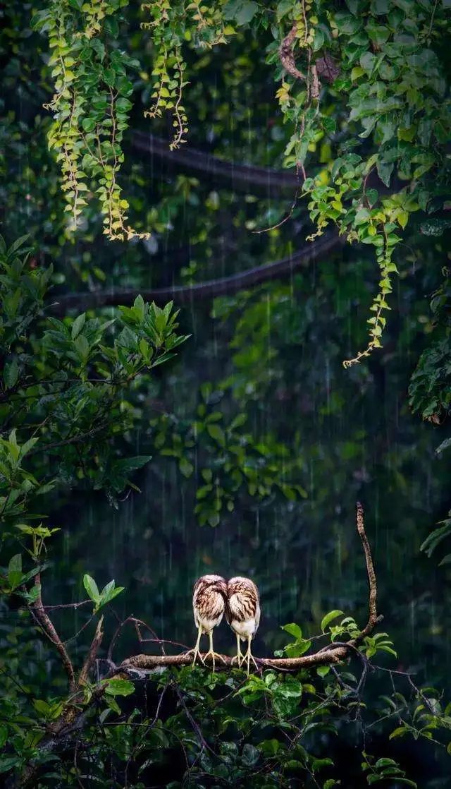 这里是防城港，广西冷链人梦开始的地方