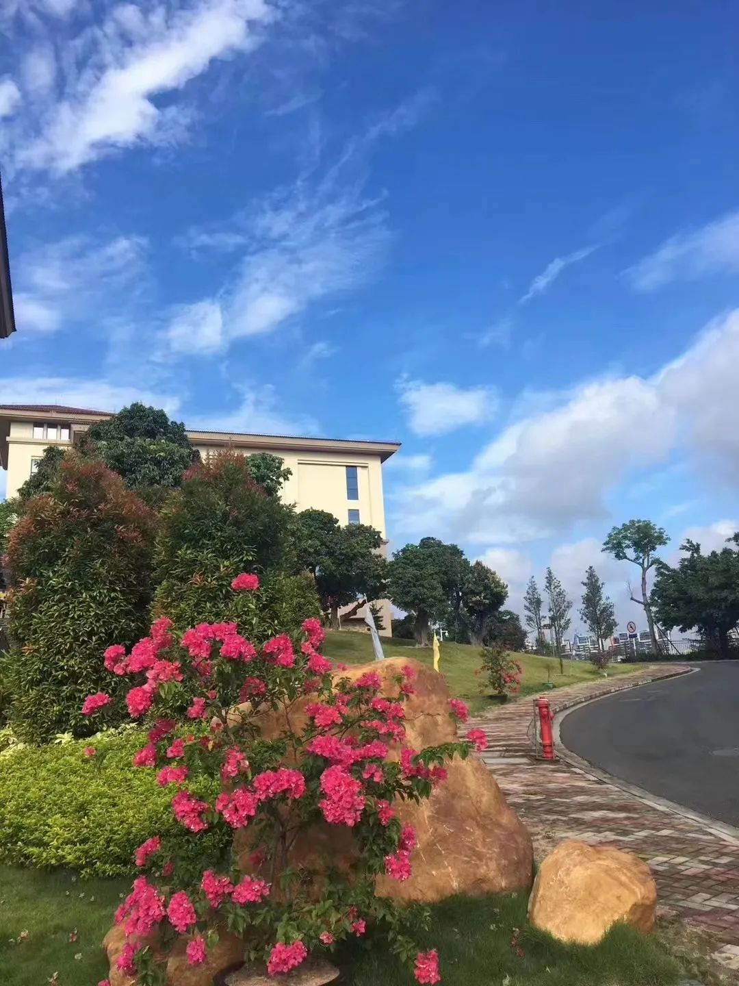 日本养老入户服务项目,日本居家养老服务护理流程