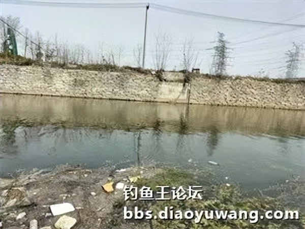 用饵料钓小河边的鱼,用钓鱼王饵料能钓到什么鱼