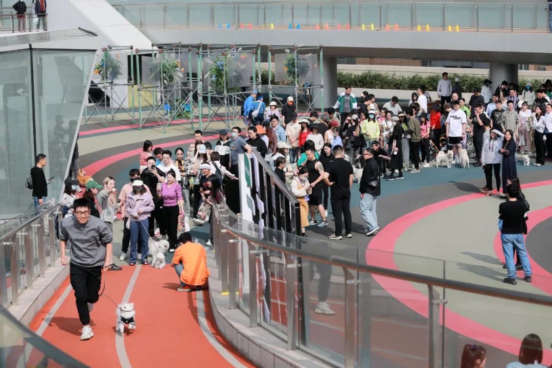 招商大魔方演艺中心,演出市场将迎来回补性增长