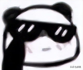 刘雯高级感,刘雯的脸型适合的风格