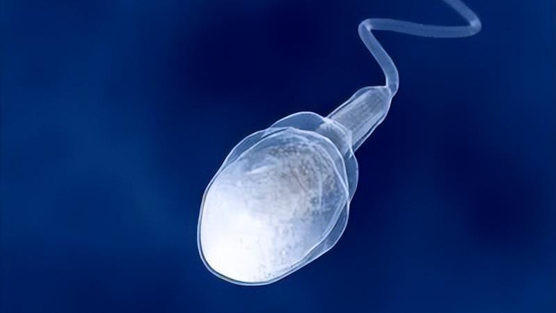 男性风油精滴肚脐能缓解便秘吗,男性睡觉前滴两滴风油精在肚脐处