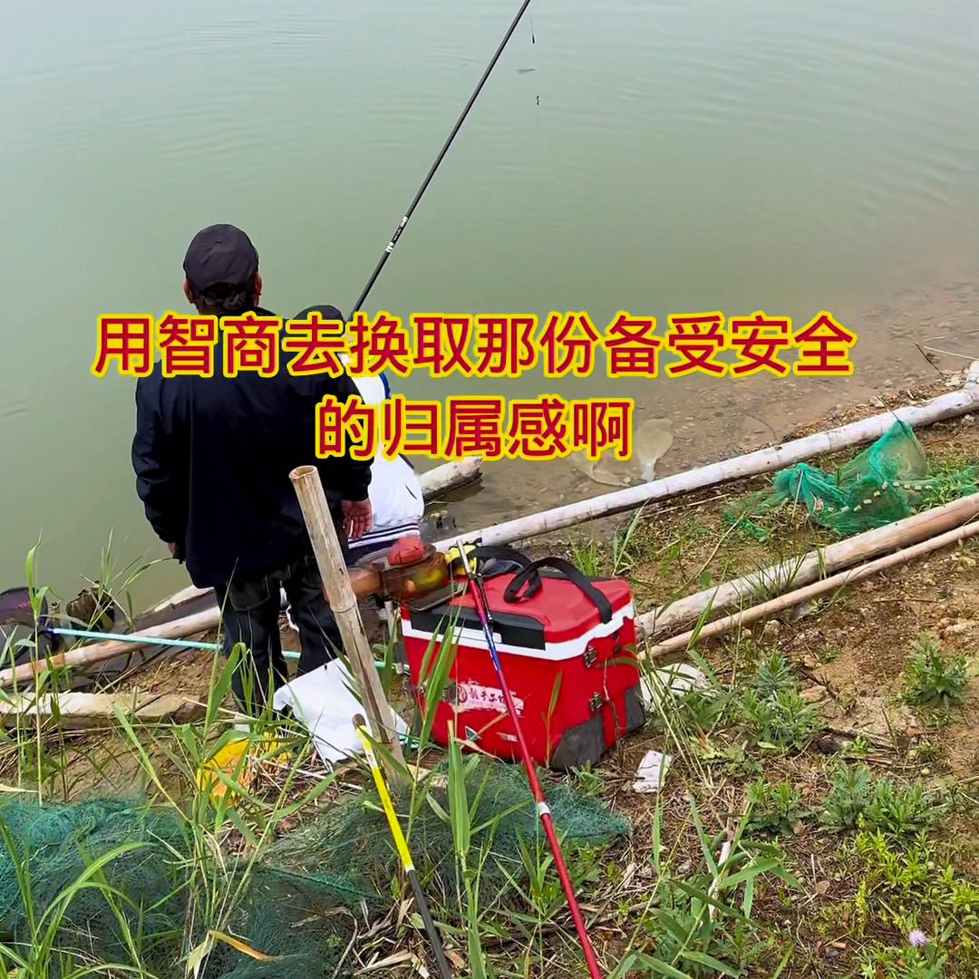 休闲野钓小钩细线遇大鲤鱼#新手垂钓技巧