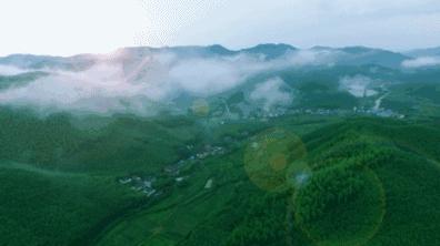莫干山川野特色民宿,莫干山民宿亲子游烧烤
