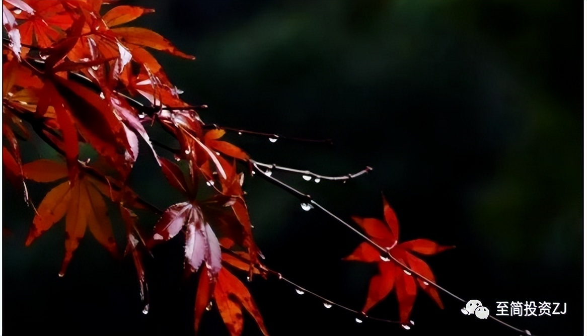 孟德稳新手期货交易教程,孟德稳期货教学视频完整版