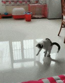 “帮表弟理发，不小心碗歪了，这下可咋办？”哈哈哈