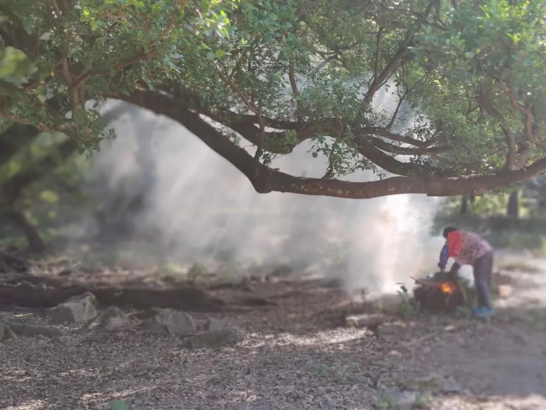 农民扮演农民？畲族模特每个动作定格3秒循环往复，150元可得乡村风赶鹅图