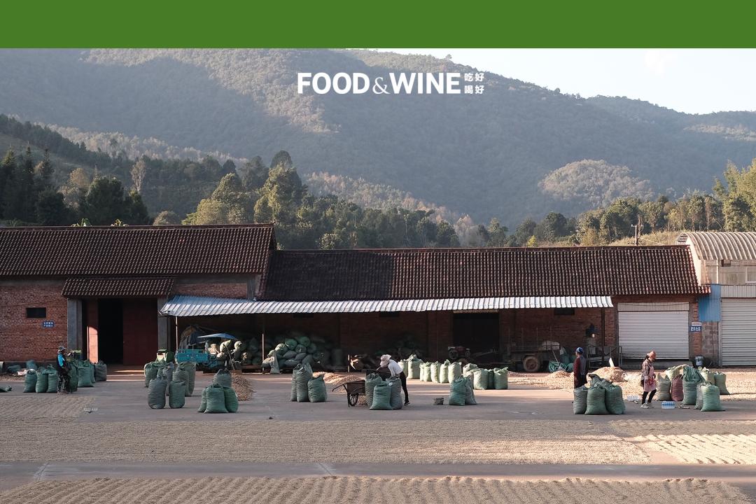 云南咖啡越来越受欢迎但口感如何,云南咖啡到底如何