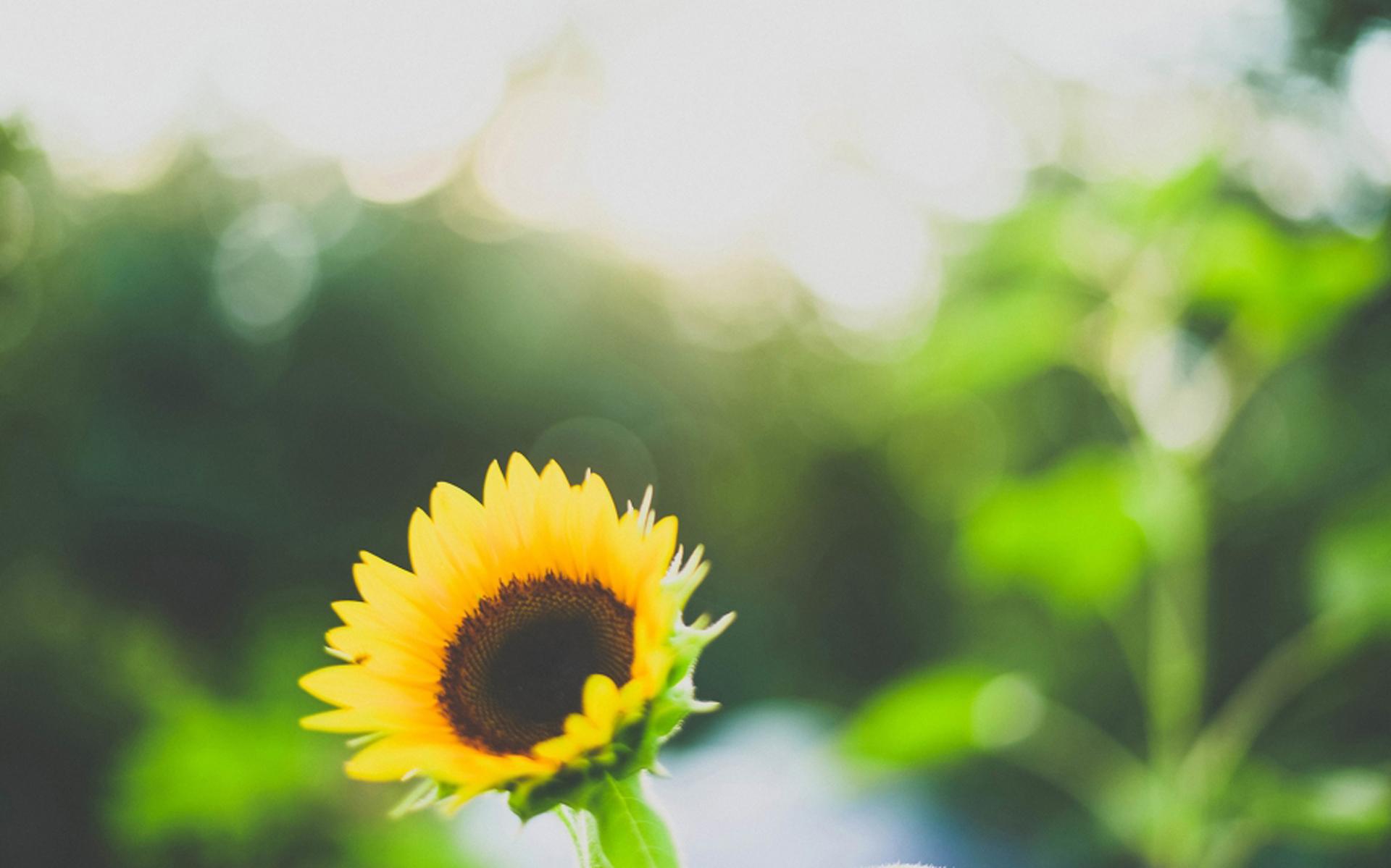 女生如果暗恋你会说什么话,女人暗恋你她会对你说六句话