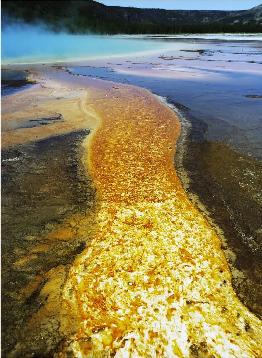 宾得老款单反大全,数码单反编年史黄金时代尼康